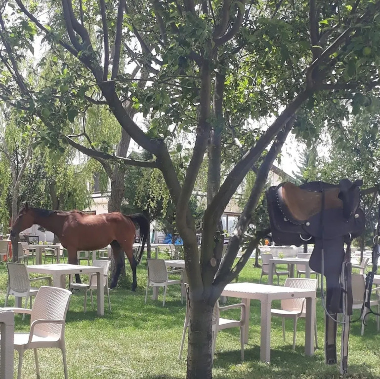 Meric Otel At Ciftligi