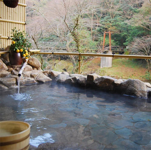 Tachikuekyo Onsen Hakkouen