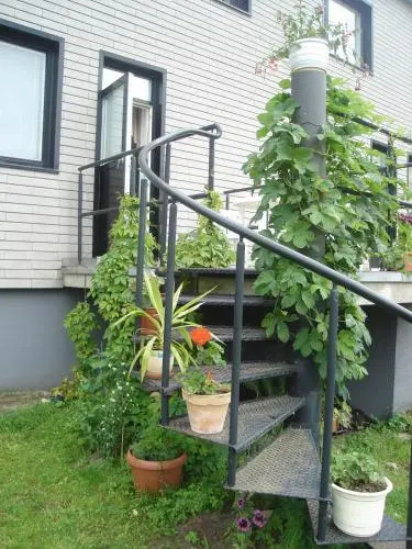 Oasis Apartments