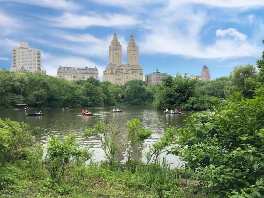 Gorgeous 3 bedroom 2 stops from Times Square and Central Park for Families or Groups with NO SMOKING AND NO PARTIES but Couples and Kids Friendly
