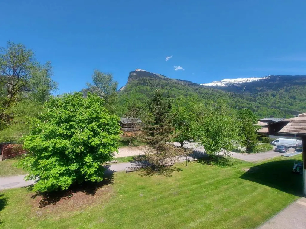 Appartement Samoëns, 4 pièces, 6 personnes - FR-1-624-29