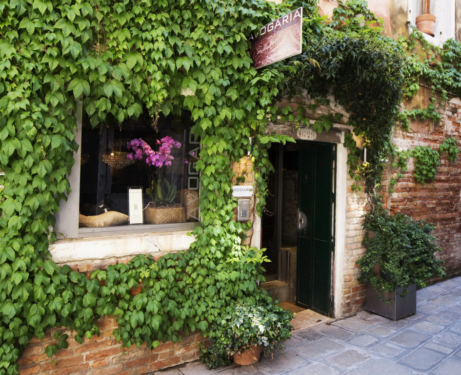 Avogaria 5 Rooms
