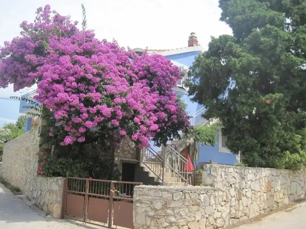 Gana - 50 M From the sea - A1