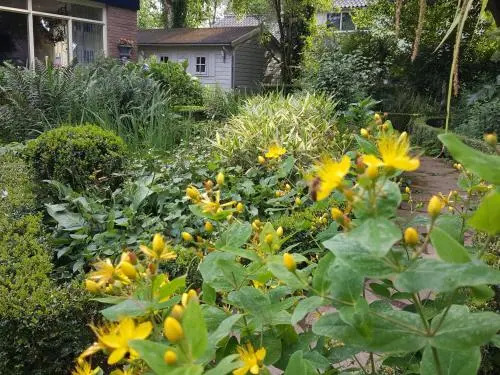 B&B De Slaperije