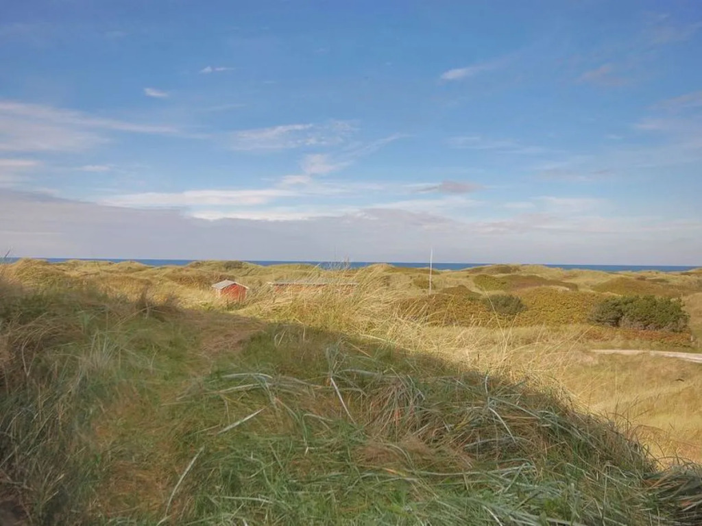 "Sonsee" - 150m from the sea in NW Jutland