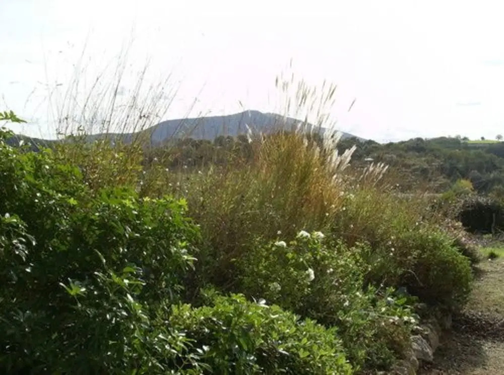 Maison Anderetea