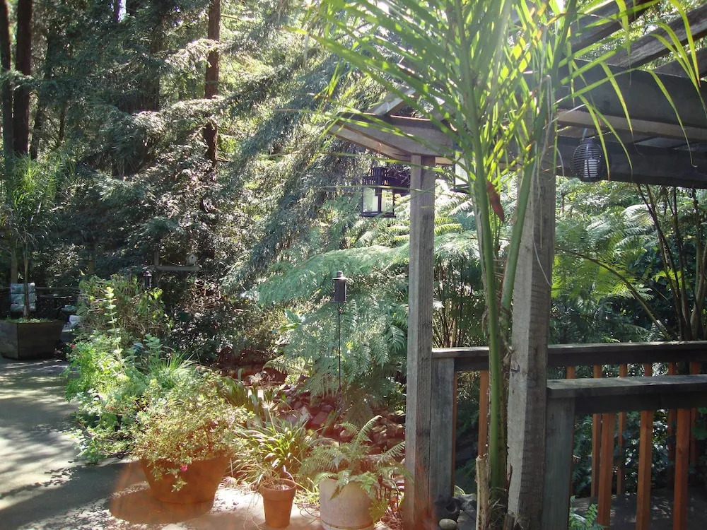 Daisy's Guest House