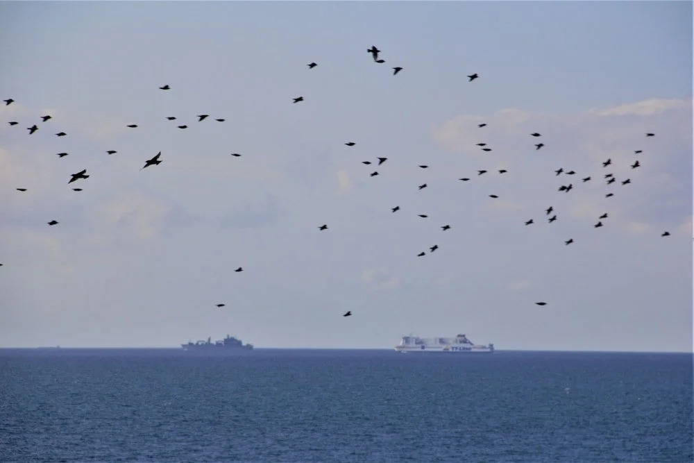 Haus am Meer