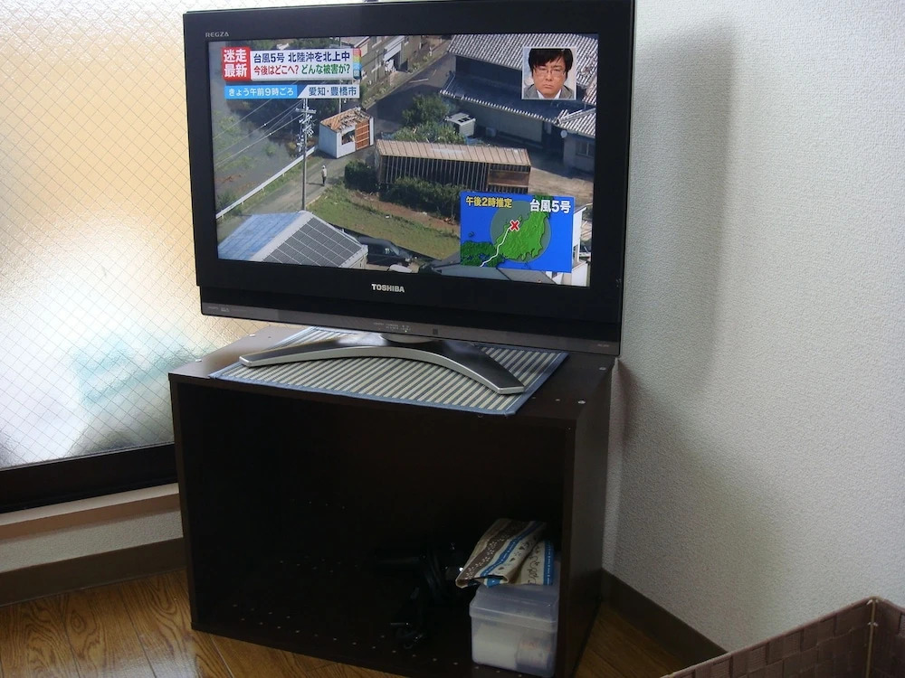 Landmark Hayashi