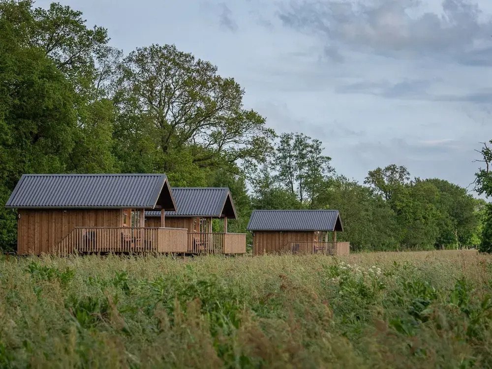 Lodges in Drenthe With Scenic Meadow Views