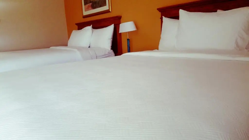 Hotel Xola
