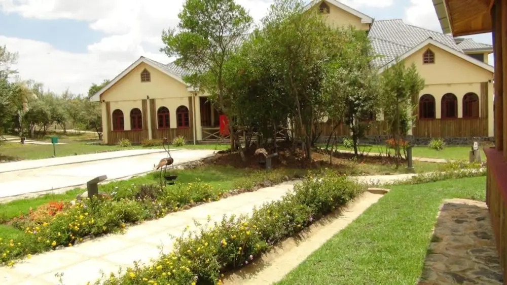 The Nelion