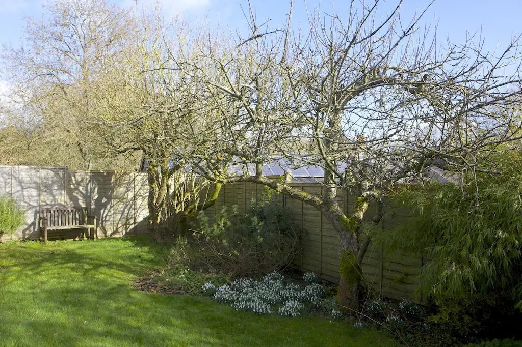Coach House Norbury