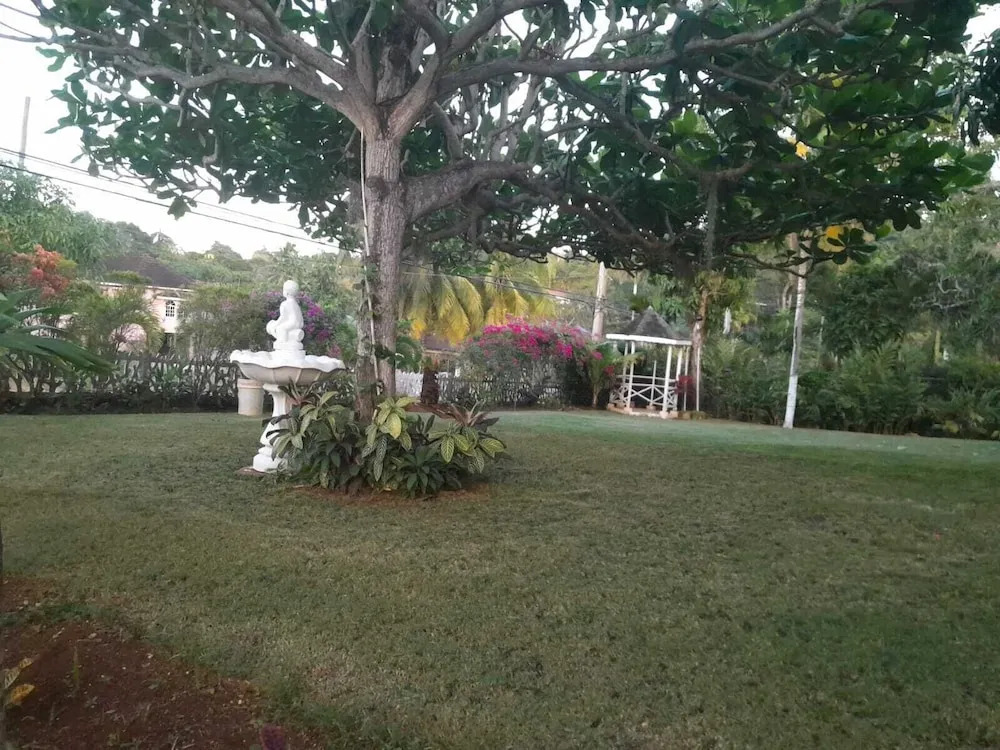 Comfort Kingdom Villa Bed & Breakfast