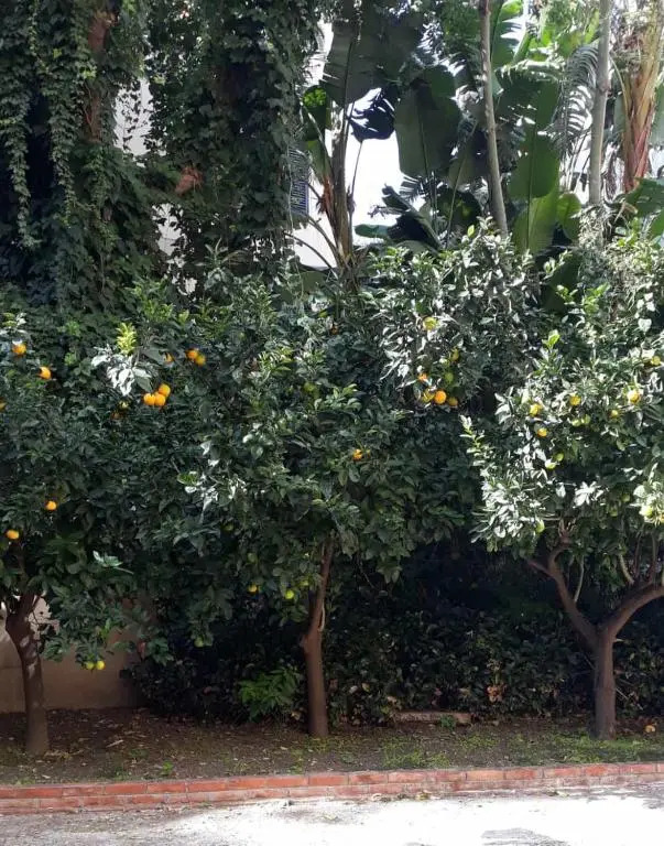 Casa Assuntina