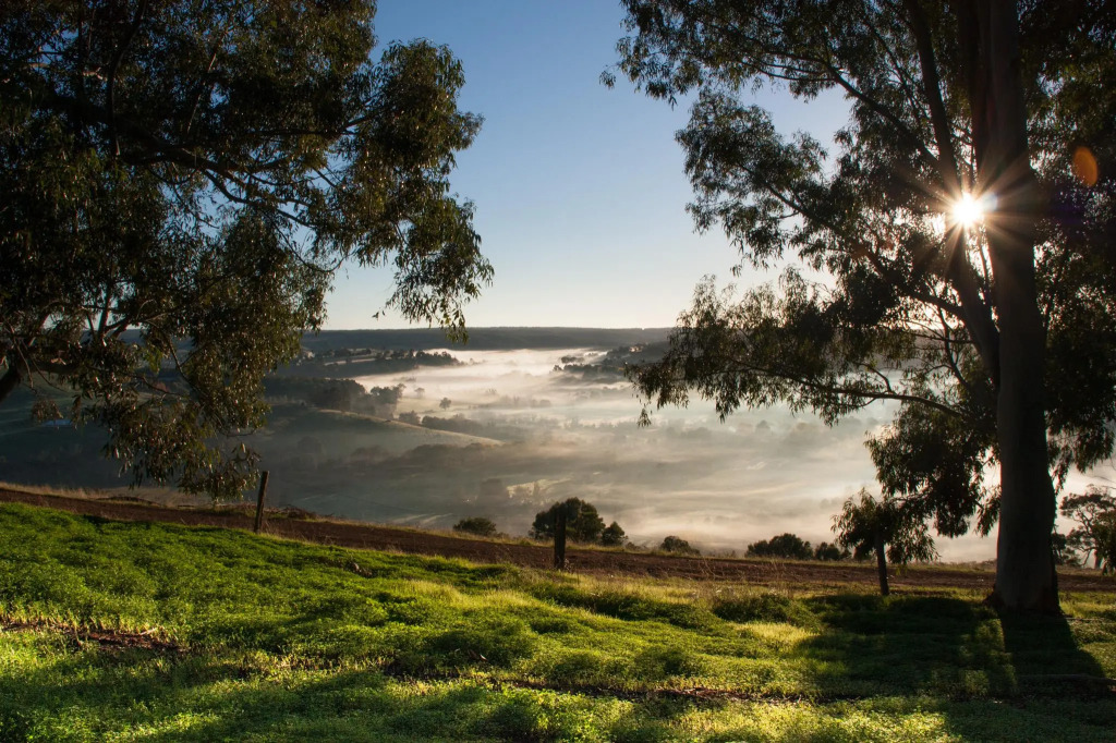 Balingup Heights Hilltop Forest Cottages