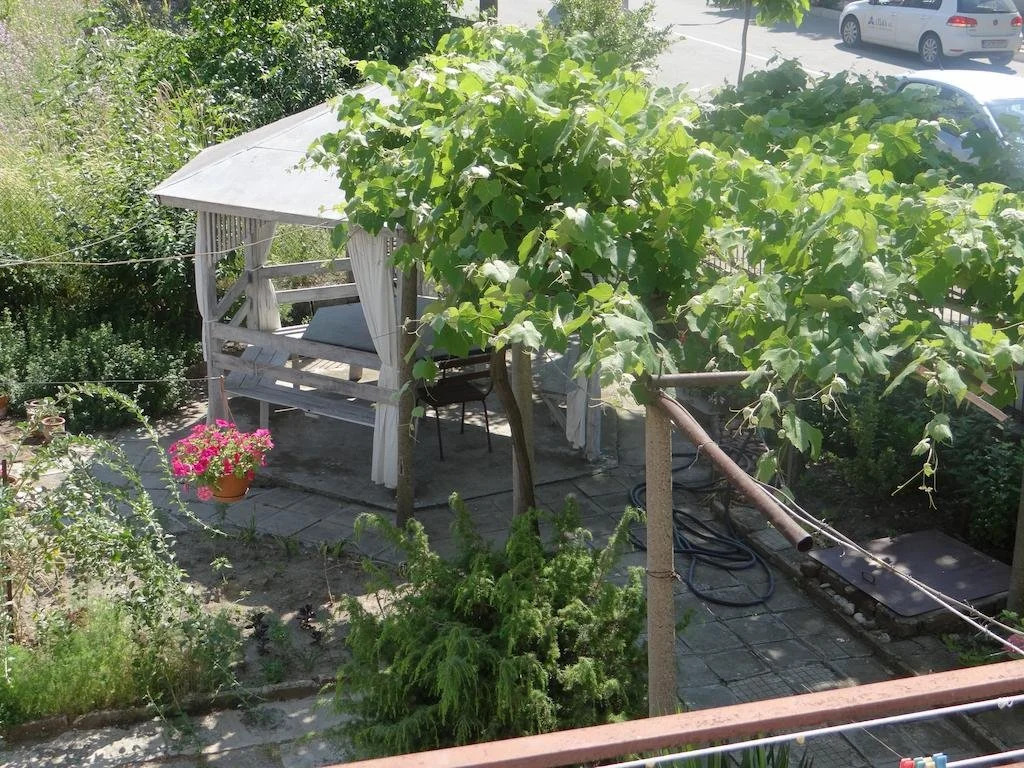 Rosi Guest House