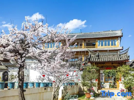 A-Jun And His Friends Entry Luxury Sunshine Garden Courtyard