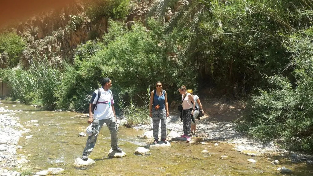 Oasis de Tiout