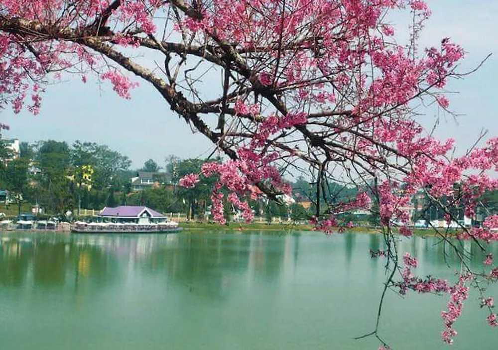 Khách sạn Liên Sơn - Đà Lạt