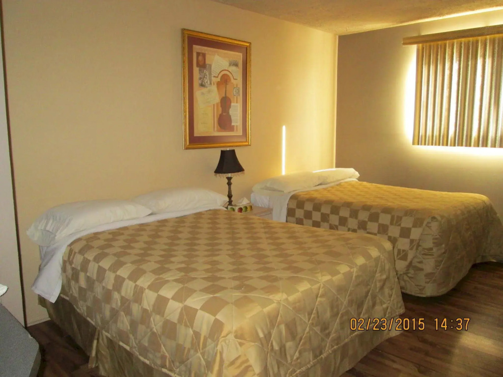 Motel Lustre Dor