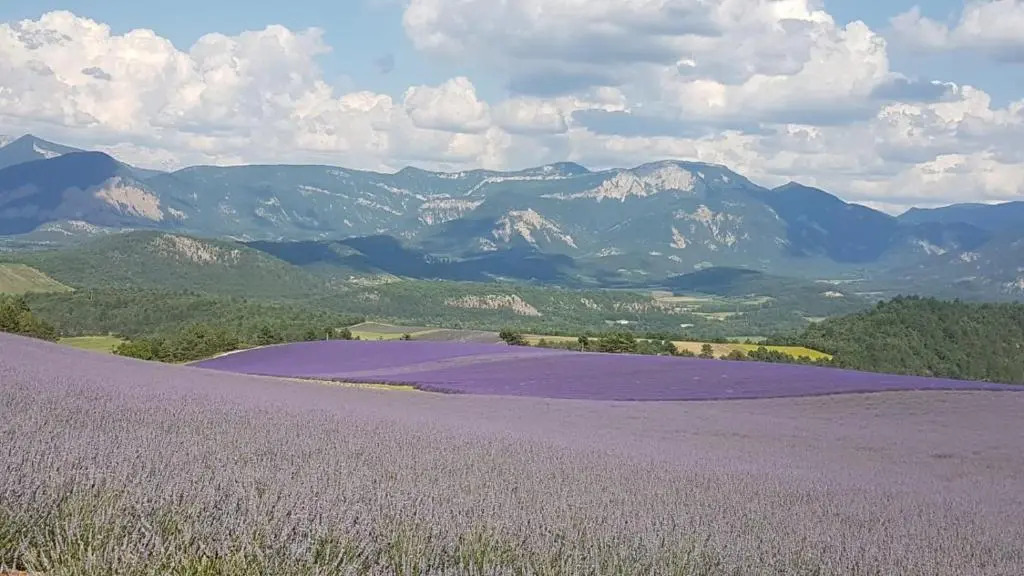 Le Glandasse