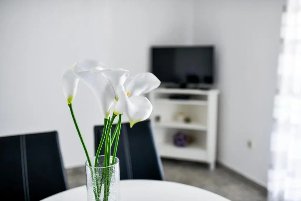 Apartments Martom