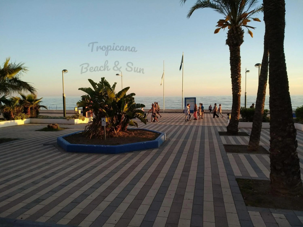 Tropicana Beach & Sun