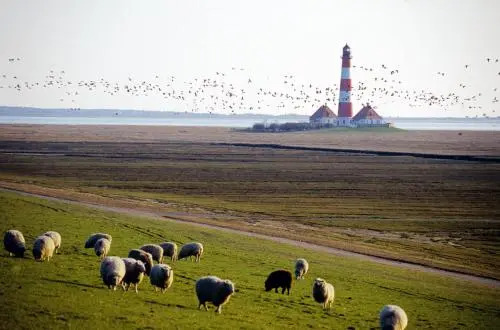 Hafenambiente