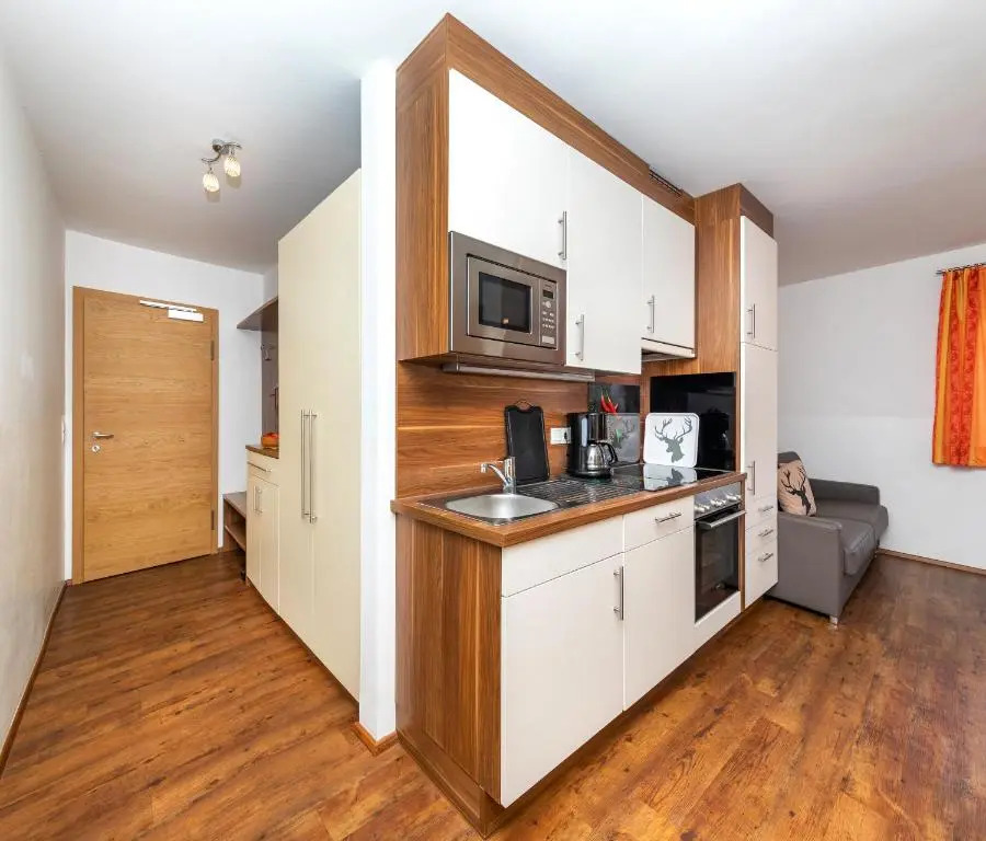 Appartement Pension Albert summercard and free parking included