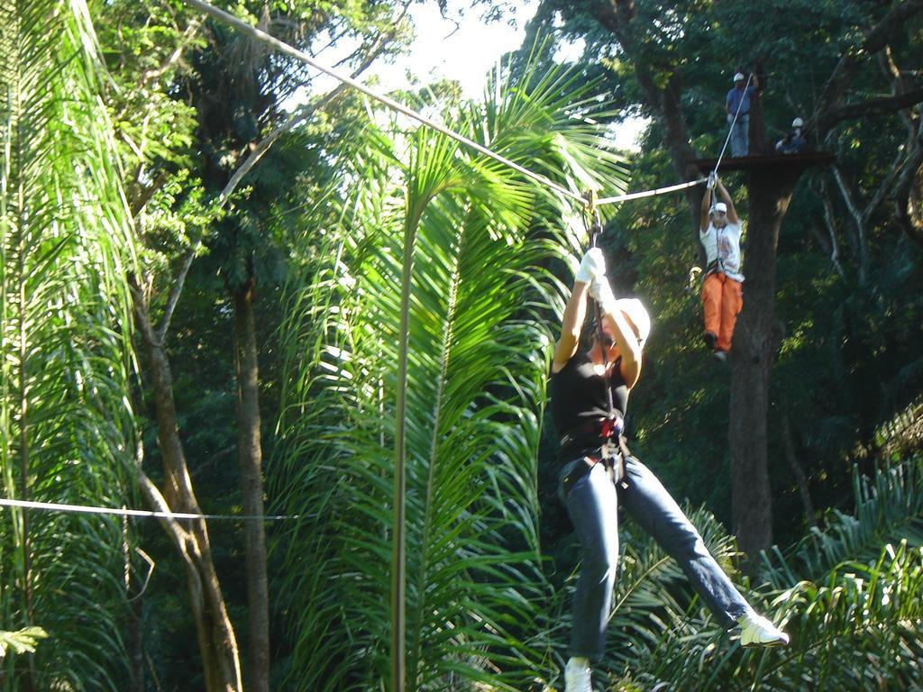 Los Cedros