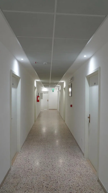 Lively Hotel