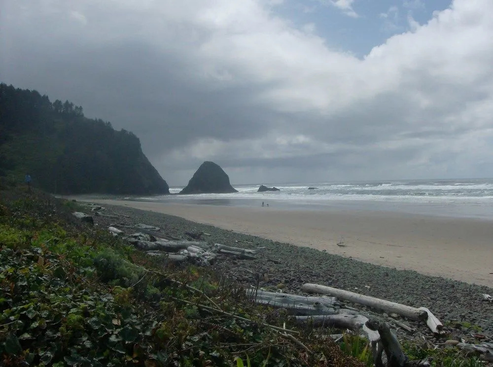 Shaw's Oceanfront Bed and Breakfast