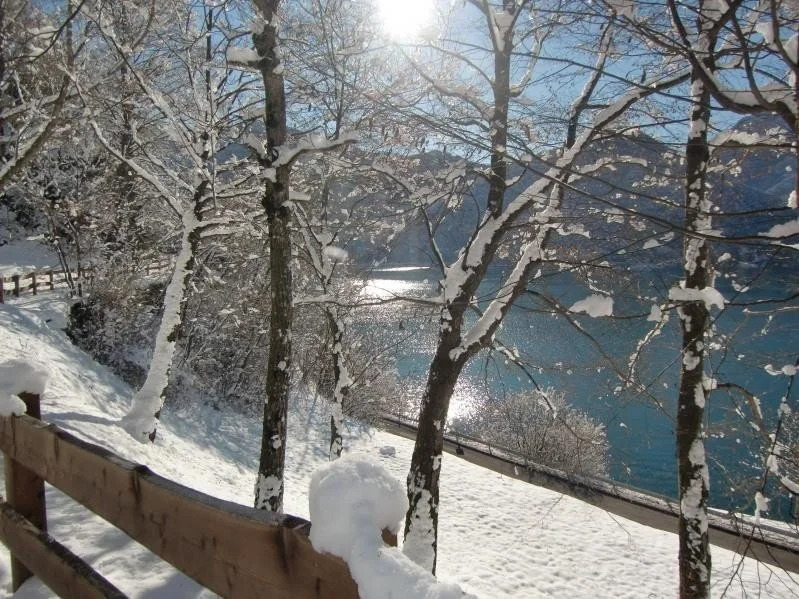 Agenzia Ledro Immobiliare