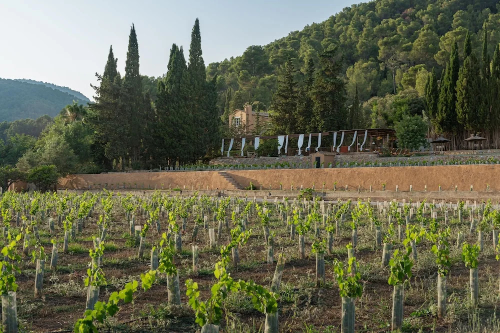 Rondaia Boutique Vineyard Stay – Mallorca, Tramuntana