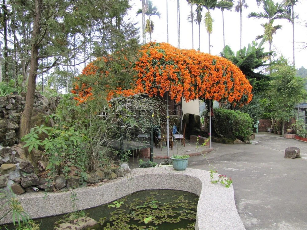 Assam Dream B&B