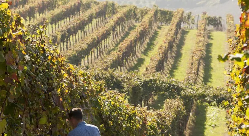 Tenuta La Pergola