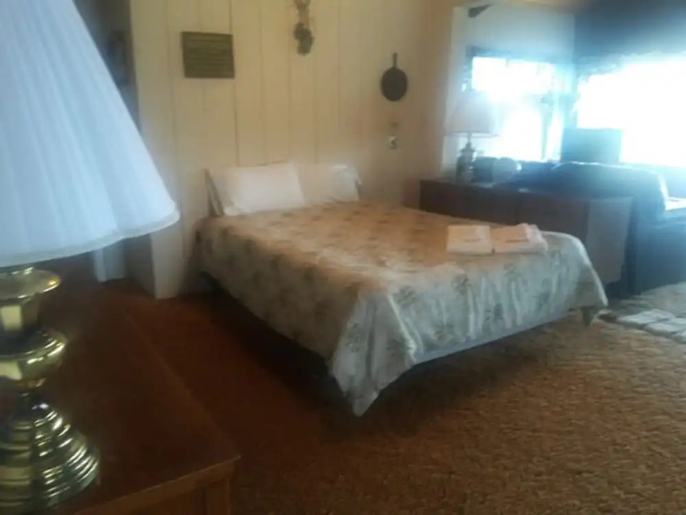Celtic Cove Main Cabin