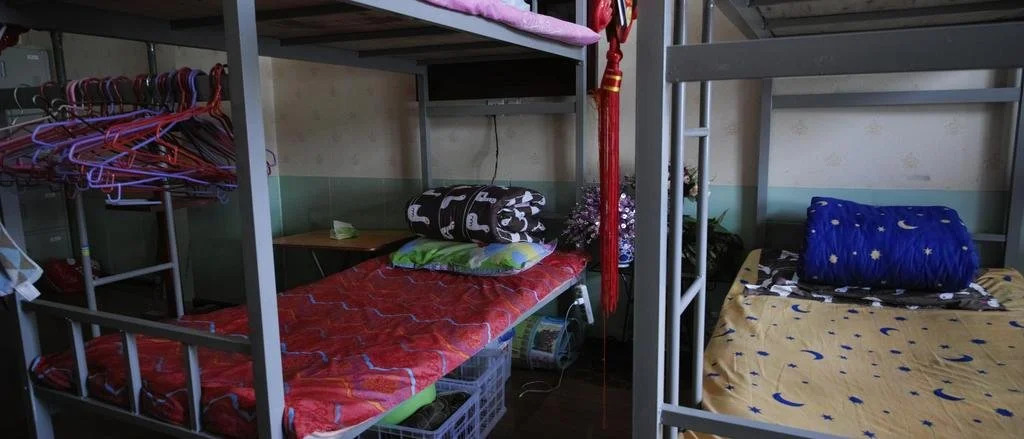 Luyou Tribe Youth Hostel