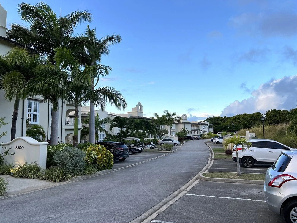 Sago Royal Westmoreland - by Zenbreak