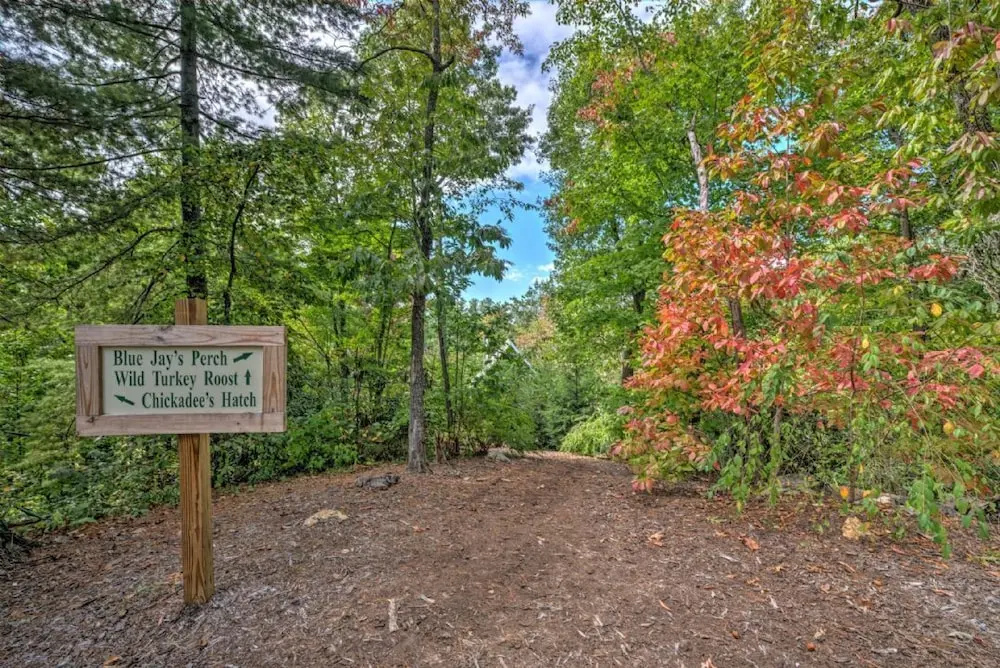 Wild Turkey's Roost - 1 Br Cabin