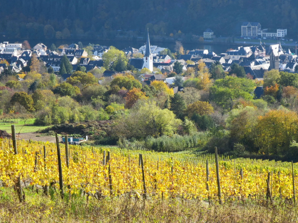 Wildbadstrasse