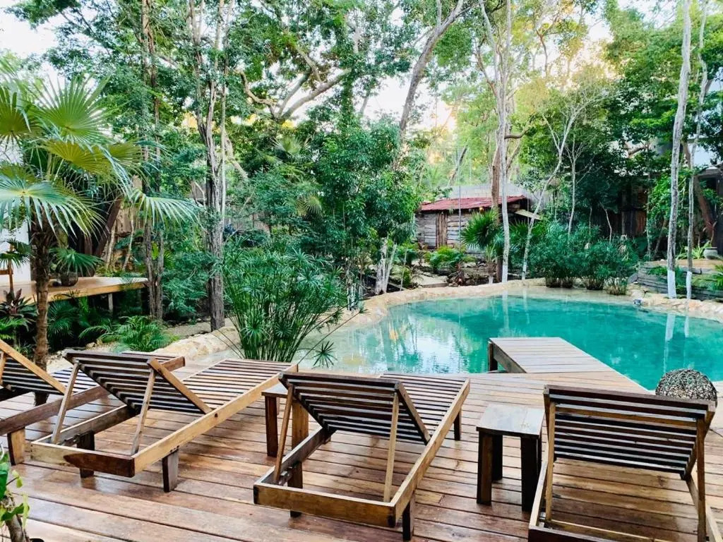 Nahouse Jungle Lodges