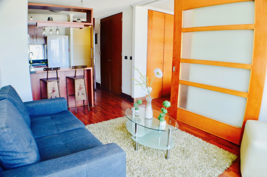 Apartamentos Premium Capital Providencia