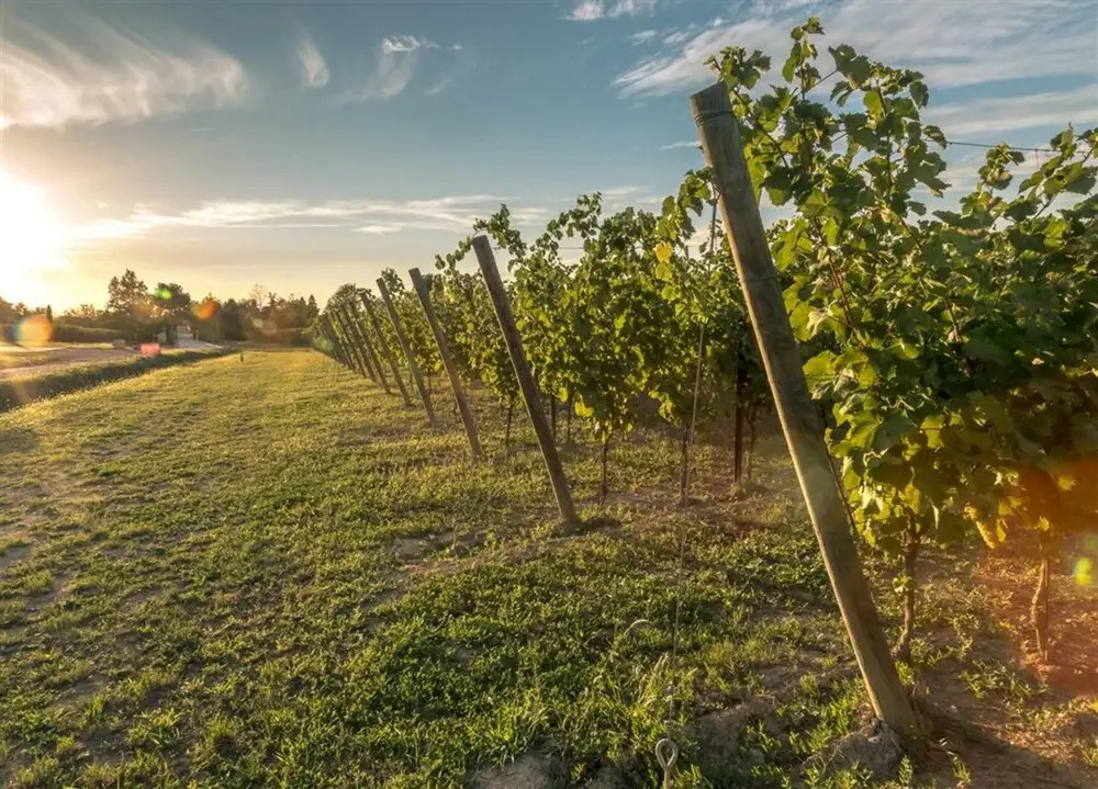 Cascina Lugana