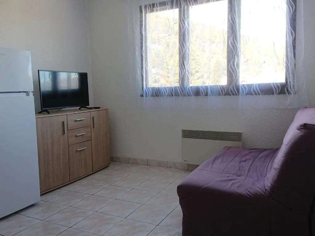 Studio Les Angles, 2 pièces, 4 personnes - FR-1-593-62