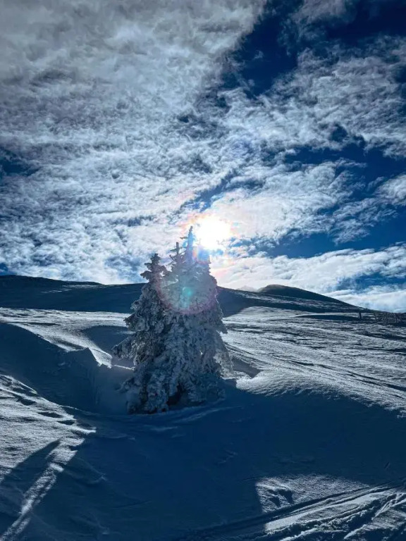 LH Linzerhaus Suites Saalbach - inklusive Jokercard