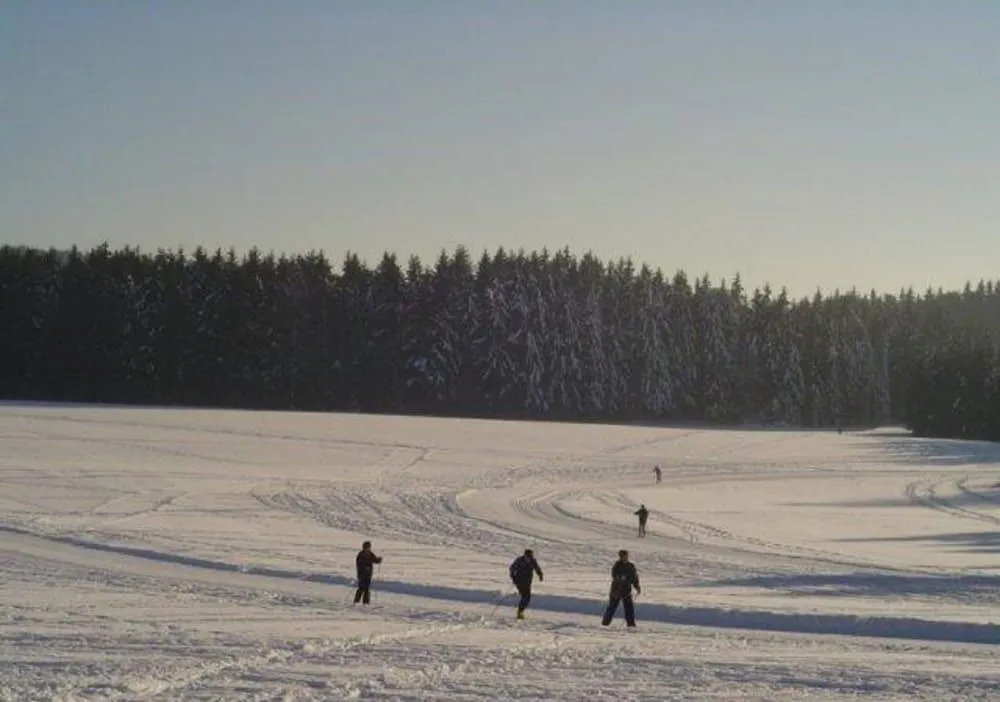 Hotel Der Seehof