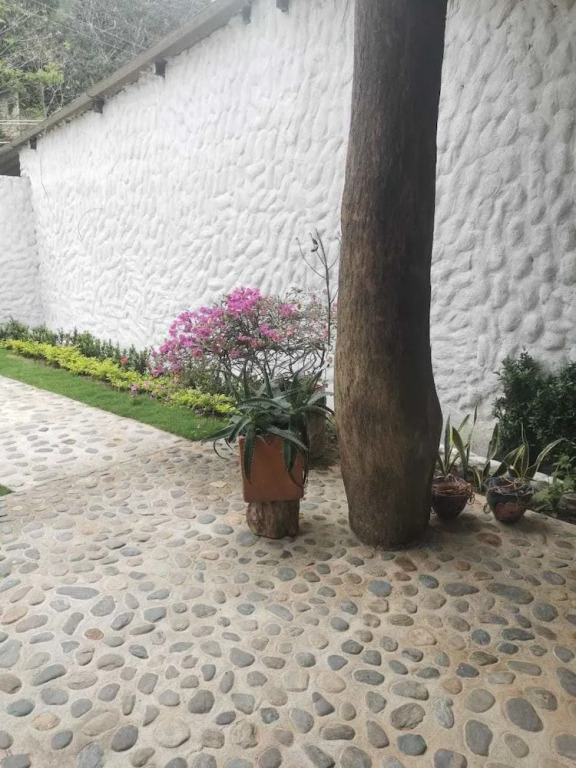 Hostal Dream House