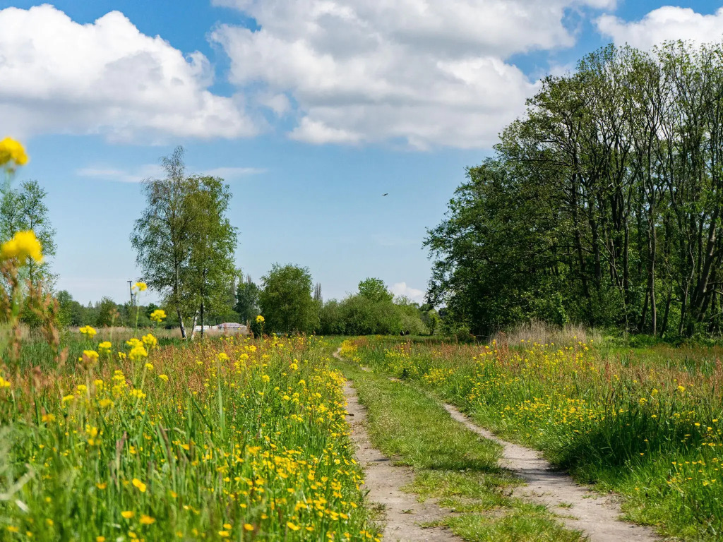 Well-maintained chalet on the outskirts of a holiday park, near Amsterdam